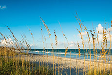 Orlando (Port Canaveral) Cocoa Beach cruise excursion